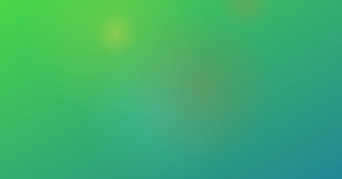 白六怎么用：实拍后的四项设置对比